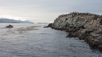 По территории парка проходят треки – экс