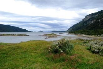 Про золото услышал румынский инженер Джу