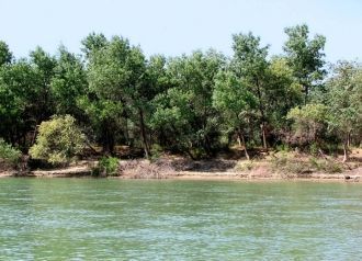 В среднем течении Сырдарья принимает бол