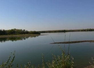 Сырдарья, чьи воды используются для орош