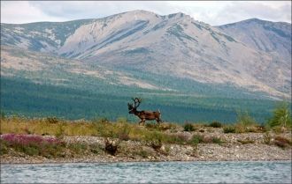 В низовьях реки развит рыбный промысел, 