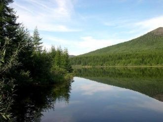 Ученые пока не пришли к единому мнению о