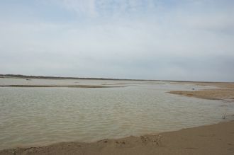 Река Амударья — извилистая, длинная и, к