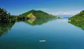 Особенность флоры острова в том, что он 