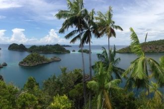 В XIX в. Молуккские острова колонизовали