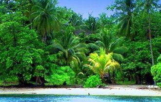 Остров Новая Гвинея