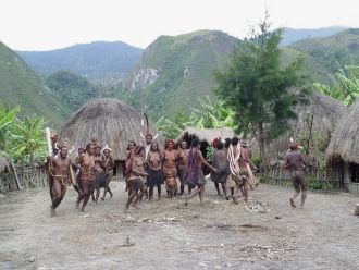 Происхождение острова Новая Гвинея матер