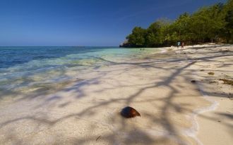 Пристальным изучением природных ресурсов