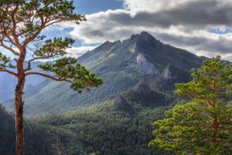 Сейчас они считаются реликтовыми и нужда