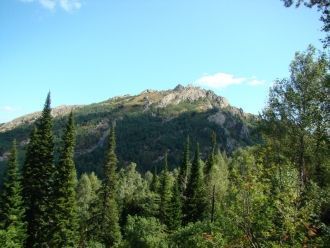 Зато тут можно увидеть несколько кургано