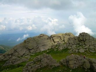 Деревья и цветы, которые встречаются на 