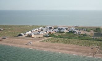 Разработан проект «Зеленые площадки» кур