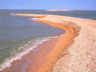 Всего за 20 лет было добыто более 5,5 мл