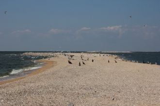 В геолого-литологическом строении косы о