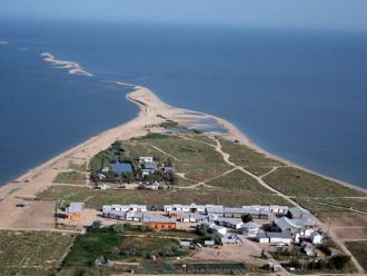 Долгая коса