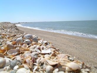 В головной части косы расположены три не