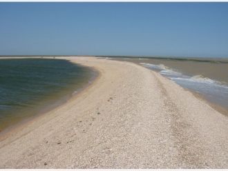 Мощность отложений ракуши на илах 5-18 м