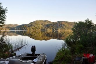 Вдоль берегов разрослись кустарники и ка