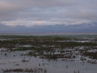 Озеро Убинское является вторым по площад