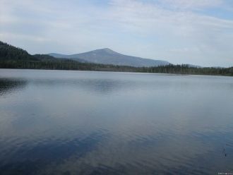 В последнее время как место для рыбной л