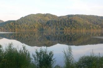 Рыбный промысел на водоёме оставил больш