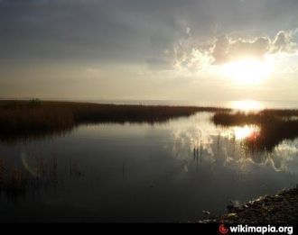 Озеро Убинское ранее было средой обитани