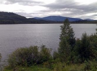 Установлено, что некоторые водные позвон