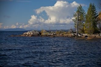 Значительных размеров заросли тростника 