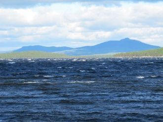 У открытых берегов лишь местами встречаю