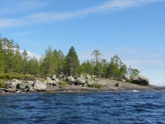 Ихтиофауна Пяозера состоит из 16 видов р