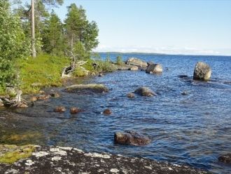 Особенно значительное распространение им