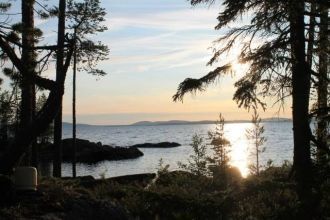 В составе зоопланктона из копепод предст