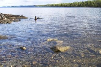 Количество планктонных организмов в 1 м3