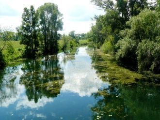 Толчком послужили исследования одной из 