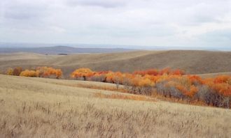 Рельеф участка равнинный, плоский, немно