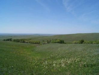 На территории заповедника есть четыре од