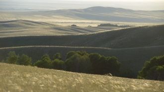 Буртинская степь располагается в Предура