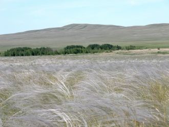 Айтуарская степь занимает площадь, равну