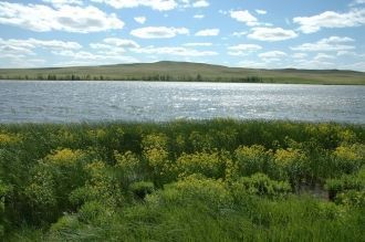 На территории царит континентальный, сух