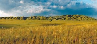 Преобладающие горные породы представлены