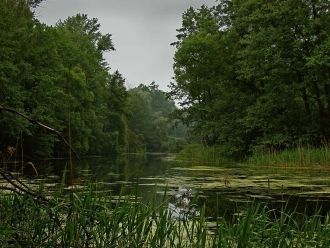Наибольшее количество осадков выпадает в