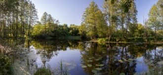 По климатическим условиям территория Вор