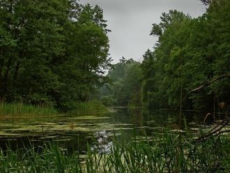 Воронежский заповедник — один из самых с