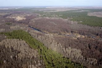 Богатство энтомофауны, примерно 5200 вид