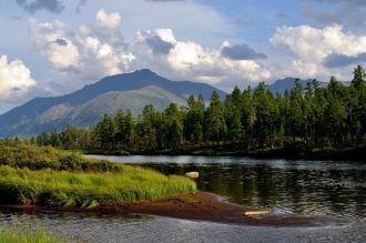 На территории заповедника отмечено 5 вид