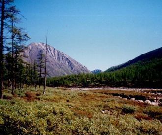 В долинах мелких водотоков, на всем прот