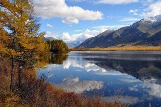 Верхнюю полосу лесного пояса обычно обра