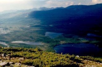 В настоящее время на территории заповедн