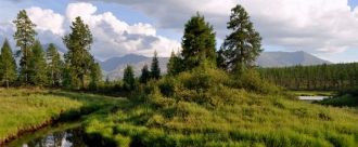 Типичными для среднегорной полосы листве