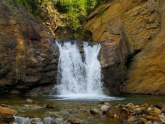 Таксономический состав флоры заповедника